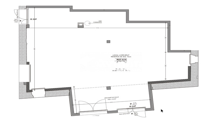Ma-Cabane - Vente Local commercial Contamine-sur-Arve, 184 m²