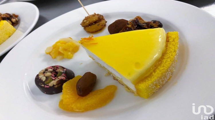 Ma-Cabane - Vente Local commercial Cornebarrieu, 110 m²