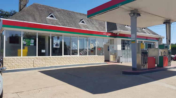 Ma-Cabane - Vente Local commercial COUR-SUR-LOIRE, 150 m²