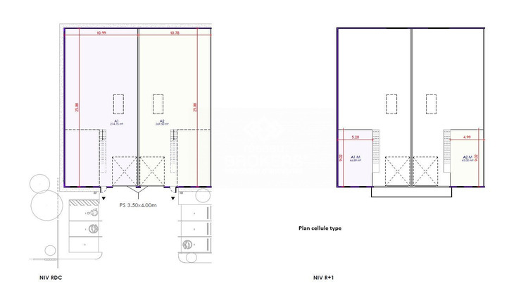 Ma-Cabane - Vente Local commercial Dagneux, 315 m²