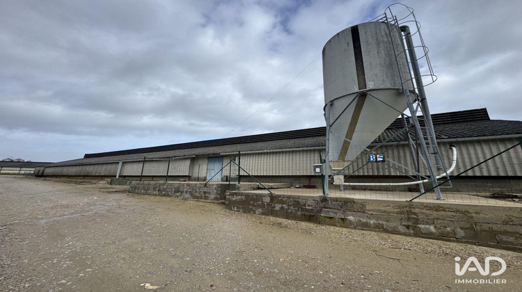 Ma-Cabane - Vente Local commercial Dangé-Saint-Romain, 2250 m²
