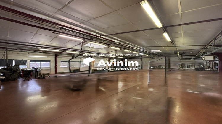 Ma-Cabane - Vente Local commercial Dannemarie-sur-Crète, 381 m²