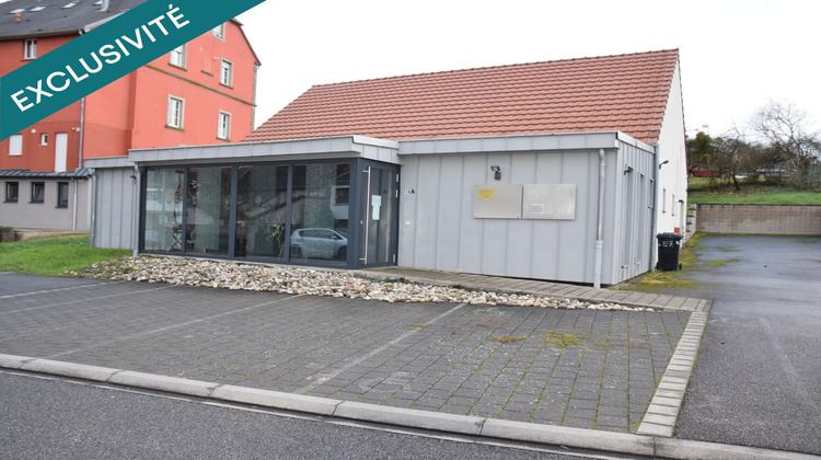 Ma-Cabane - Vente Local commercial Diemeringen, 177 m²