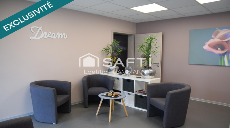 Ma-Cabane - Vente Local commercial Diemeringen, 177 m²