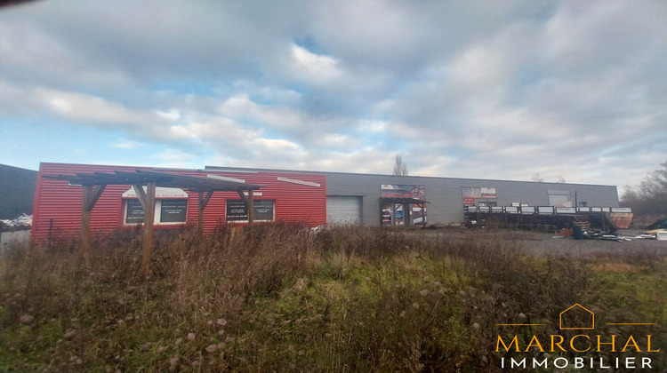 Ma-Cabane - Vente Local commercial Dieuze, 700 m²