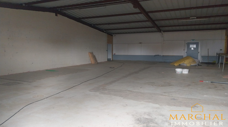 Ma-Cabane - Vente Local commercial Dieuze, 700 m²