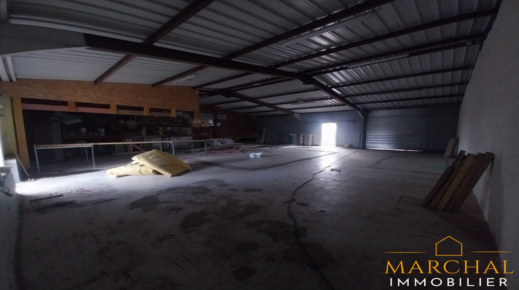 Ma-Cabane - Vente Local commercial Dieuze, 700 m²