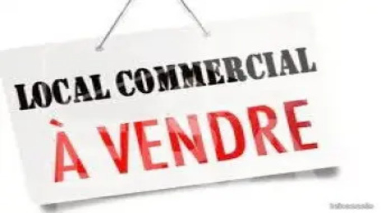 Ma-Cabane - Vente Local commercial DINAN, 218 m²