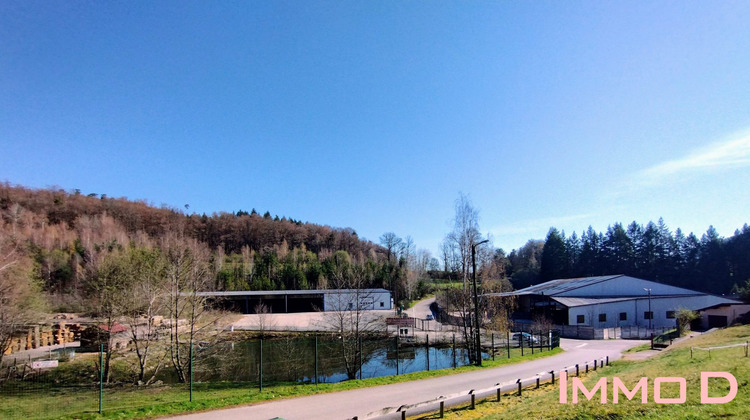 Ma-Cabane - Vente Local commercial Docelles, 5600 m²