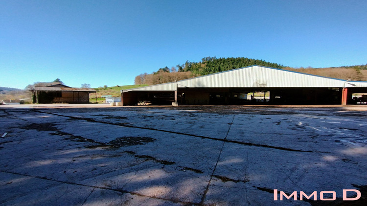 Ma-Cabane - Vente Local commercial Docelles, 5600 m²