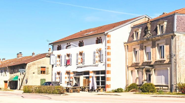 Ma-Cabane - Vente Local commercial Domremy-la-Pucelle, 380 m²