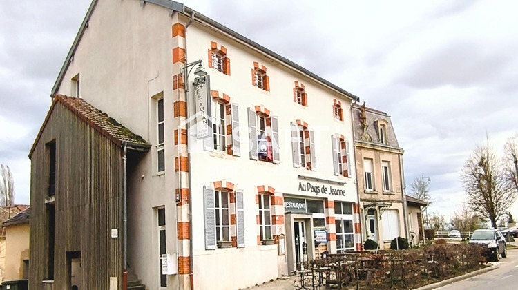 Ma-Cabane - Vente Local commercial Domremy-la-Pucelle, 380 m²