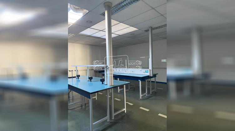 Ma-Cabane - Vente Local commercial DOUE-LA-FONTAINE, 542 m²