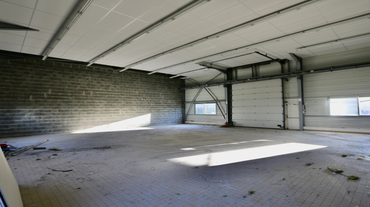 Ma-Cabane - Vente Local commercial Douvres-la-Delivrande, 239 m²