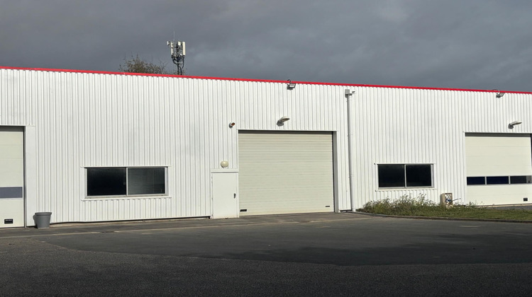 Ma-Cabane - Vente Local commercial Douvres-la-Delivrande, 239 m²