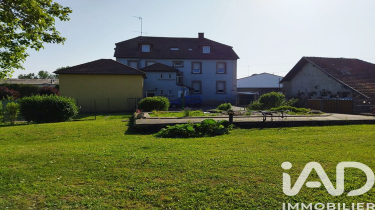 Ma-Cabane - Vente Local commercial Drulingen, 546 m²