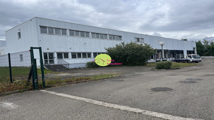 Ma-Cabane - Vente Local commercial Duppigheim, 3120 m²