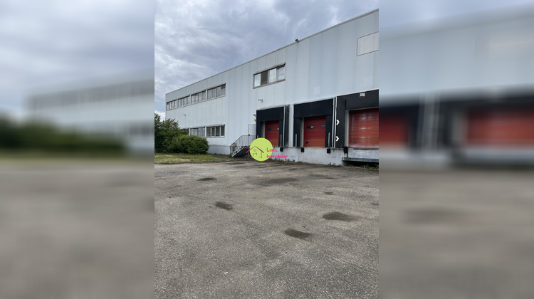 Ma-Cabane - Vente Local commercial Duppigheim, 3120 m²
