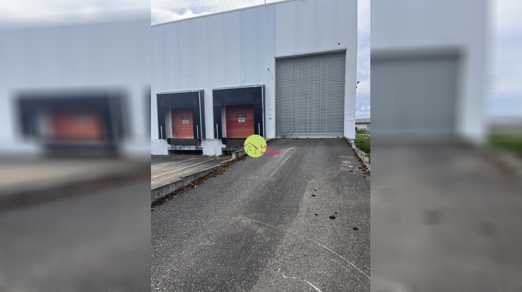 Ma-Cabane - Vente Local commercial Duppigheim, 3120 m²