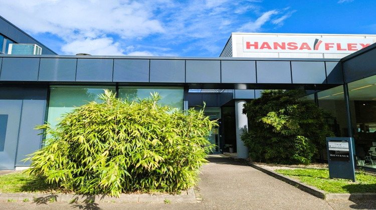 Ma-Cabane - Vente Local commercial Entzheim, 400 m²