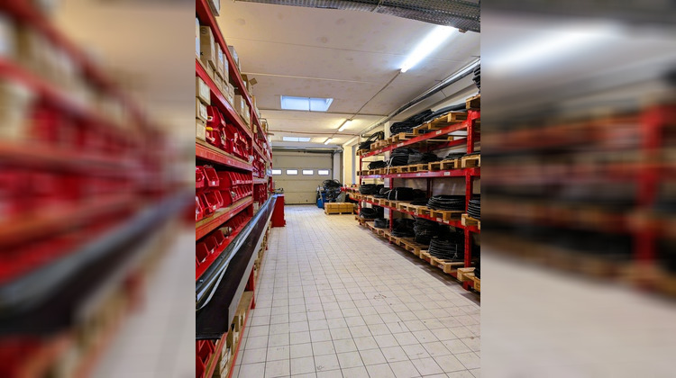 Ma-Cabane - Vente Local commercial Entzheim, 400 m²