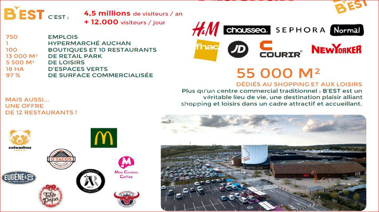 Ma-Cabane - Vente Local commercial FAREBERSVILLER, 440 m²