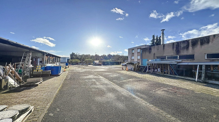 Ma-Cabane - Vente Local commercial Fegersheim, 960 m²