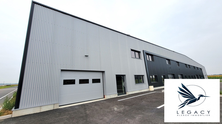 Ma-Cabane - Vente Local commercial Fegersheim, 162 m²