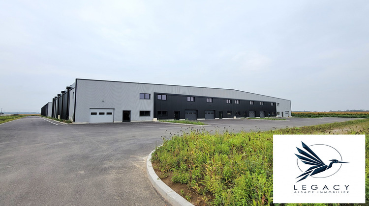 Ma-Cabane - Vente Local commercial Fegersheim, 329 m²
