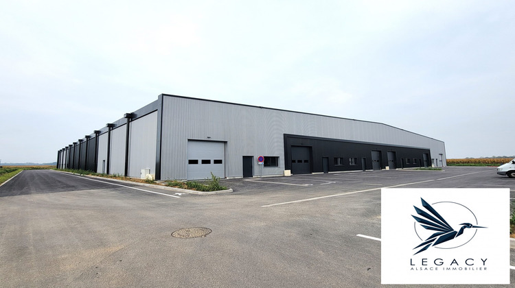 Ma-Cabane - Vente Local commercial Fegersheim, 329 m²