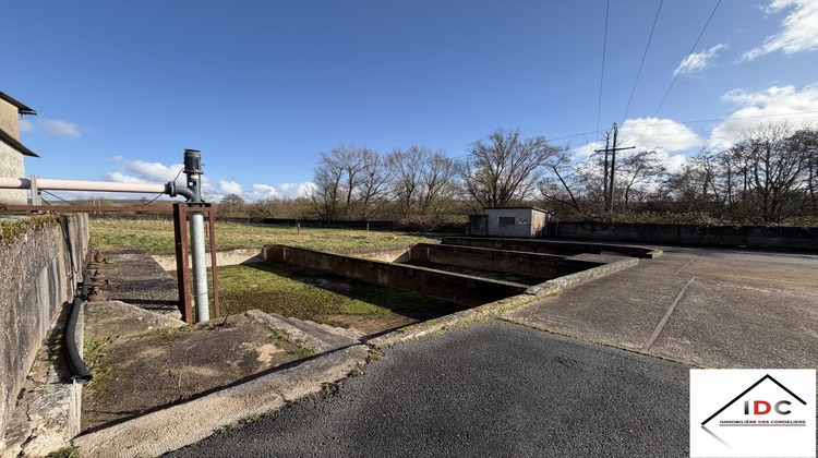 Ma-Cabane - Vente Local commercial Fénétrange, 200 m²