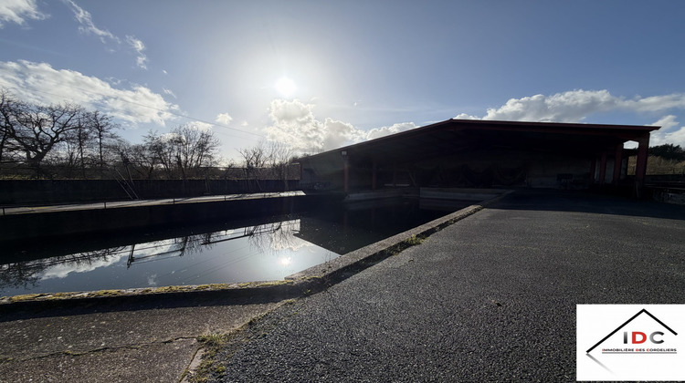 Ma-Cabane - Vente Local commercial Fénétrange, 200 m²