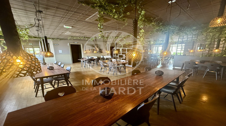 Ma-Cabane - Vente Local commercial Fessenheim, 263 m²
