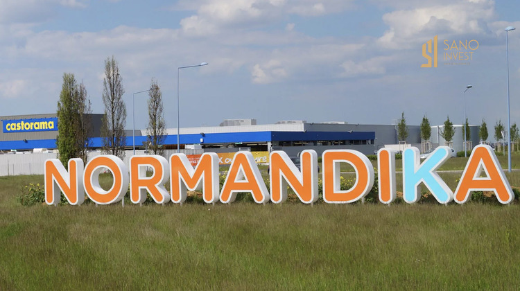 Ma-Cabane - Vente Local commercial Fleury-sur-Orne, 580 m²