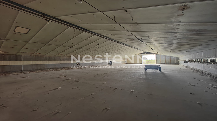 Ma-Cabane - Vente Local commercial FOSSE, 2000 m²