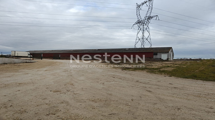 Ma-Cabane - Vente Local commercial FOSSE, 2000 m²
