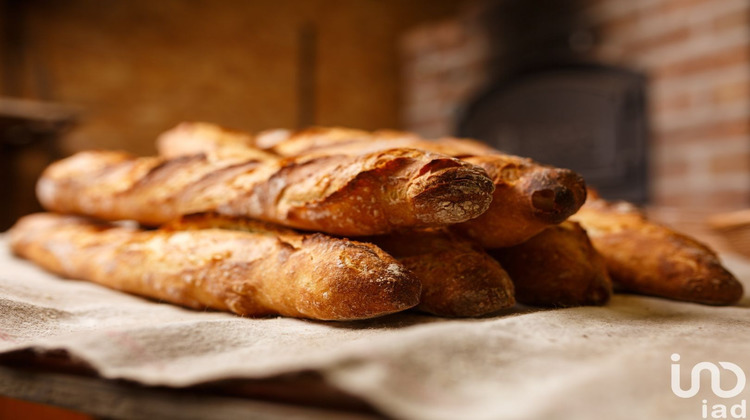 Ma-Cabane - Vente Local commercial Fournels, 300 m²