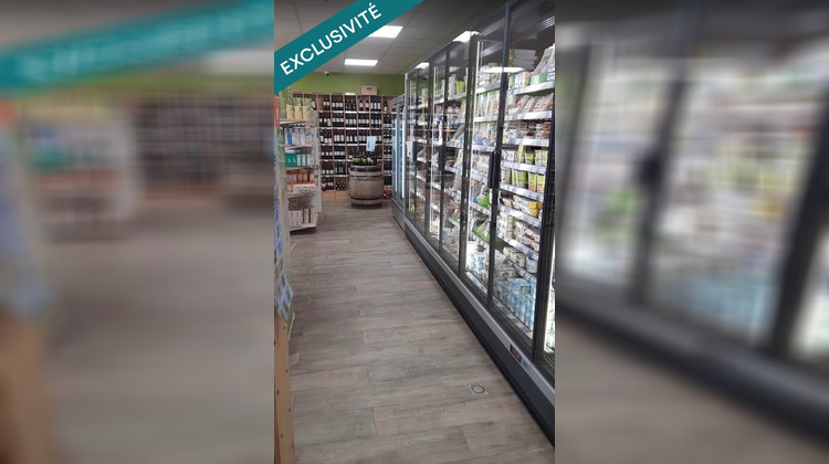 Ma-Cabane - Vente Local commercial Franconville, 451 m²