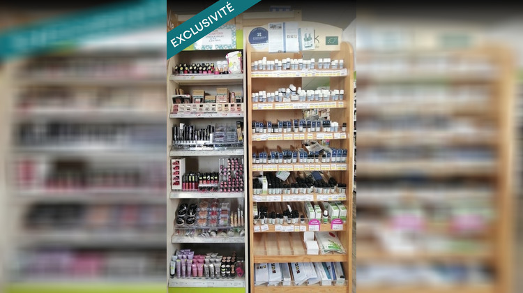 Ma-Cabane - Vente Local commercial Franconville, 451 m²