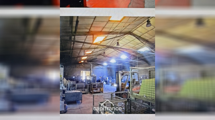 Ma-Cabane - Vente Local commercial FRESSENNEVILLE, 5505 m²