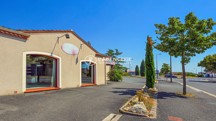 Ma-Cabane - Vente Local commercial Gaillac, 246 m²