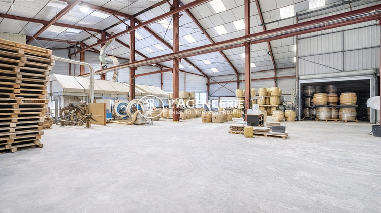 Ma-Cabane - Vente Local commercial Gaillac, 1800 m²