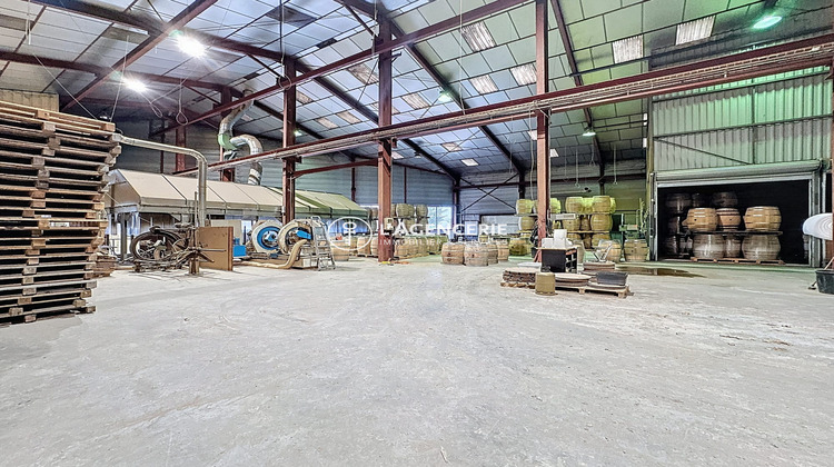 Ma-Cabane - Vente Local commercial Gaillac, 1800 m²