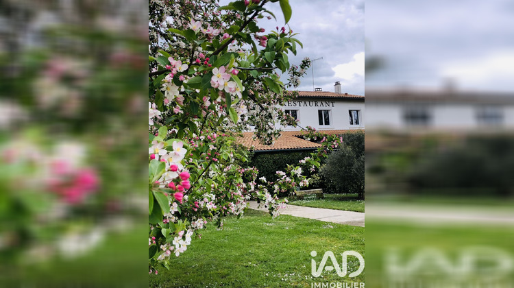 Ma-Cabane - Vente Local commercial Galgon, 337 m²