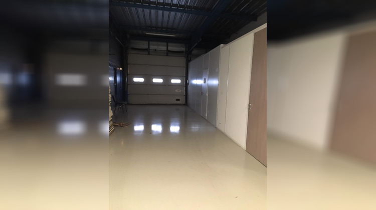 Ma-Cabane - Vente Local commercial Geispolsheim, 519 m²