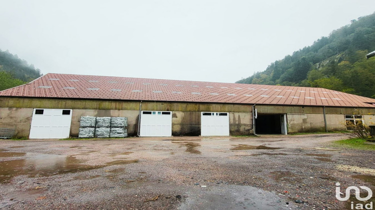 Ma-Cabane - Vente Local commercial Gérardmer, 2000 m²