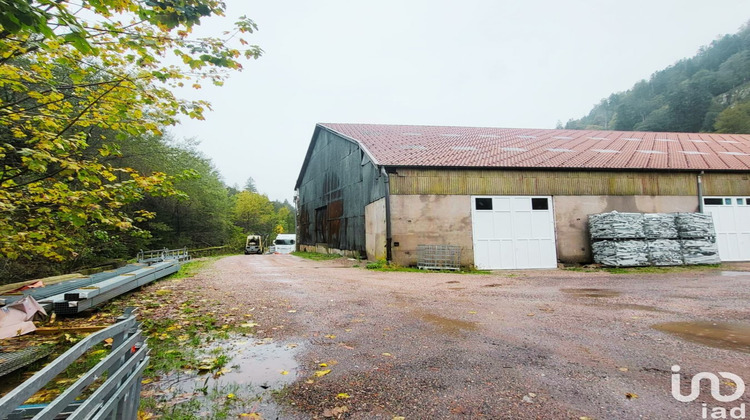 Ma-Cabane - Vente Local commercial Gérardmer, 2000 m²