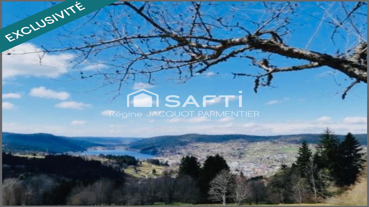 Ma-Cabane - Vente Local commercial Gerardmer, 546 m²