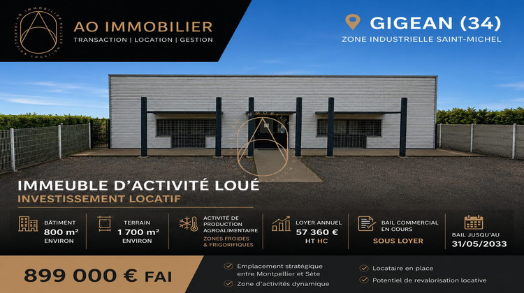 Ma-Cabane - Vente Local commercial Gigean, 800 m²