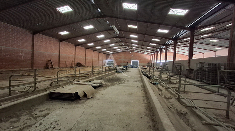 Ma-Cabane - Vente Local commercial GIMONT, 1800 m²